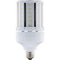 Ampoule HID de remplacement s&eacute;lectionnable ULTRA LED, E26, 18 W, 2700 lumens Auto Electric Service Ltd.