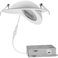 Gimbal Light Fixture, LED, 120 V, 9 W Auto Electric Service Ltd.
