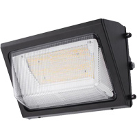 Wall Pack Light Fixture, LED, 120 -347 V, 80 W Auto Electric Service Ltd.