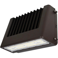 Wall Pack Light Fixture, LED, 120 V, 80 W, 6.5" H x 9.3" W x 14.4" D Auto Electric Service Ltd.