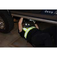 Work Light, Neck Light, Rechargeable, 300 Lumens Auto Electric Service Ltd.