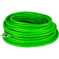 Industrial Extension Cord, All-Weather, SJTW, 10/3 AWG, 15 A, 50' Auto Electric Service Ltd.